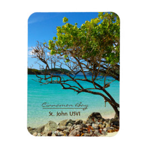 シナモン湾の聖ヨハネUSVI Flexiの磁石 マグネット