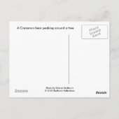 シナモン熊 ポストカード (裏面)