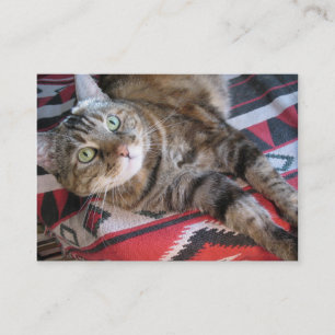 シナモン猫のaceo atc 名刺
