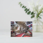 シナモン猫のaceo atc 名刺 (スタンド正面)