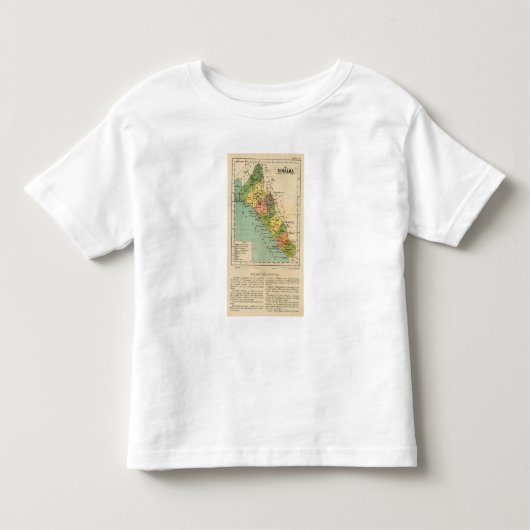 シナロア州、メキシコ トドラーTシャツ (正面)