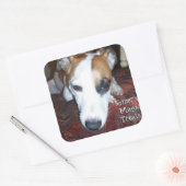 シナーズ魔法トリート スクエアシール (封筒)