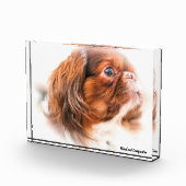 シナ犬 フォトブロック (右)