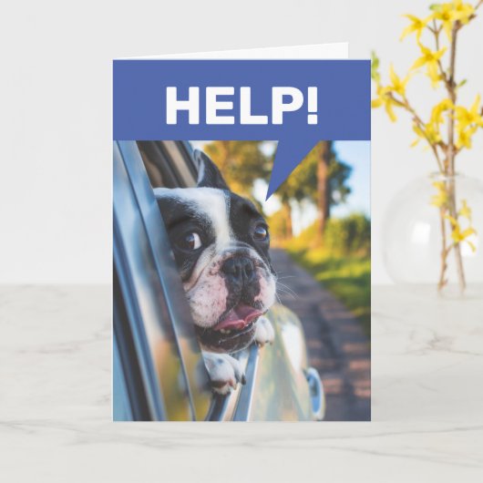 シニアおもしろい運転車、恐怖の犬の乗客 カード (黄色い花)