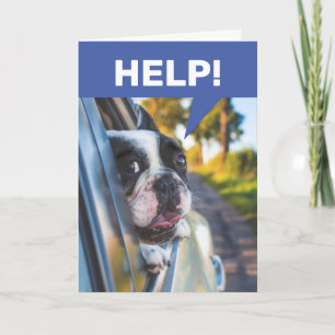 シニアおもしろい運転車、恐怖の犬の乗客 カード