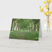 シニアローツリーズブリンマー カード (黄色い花)