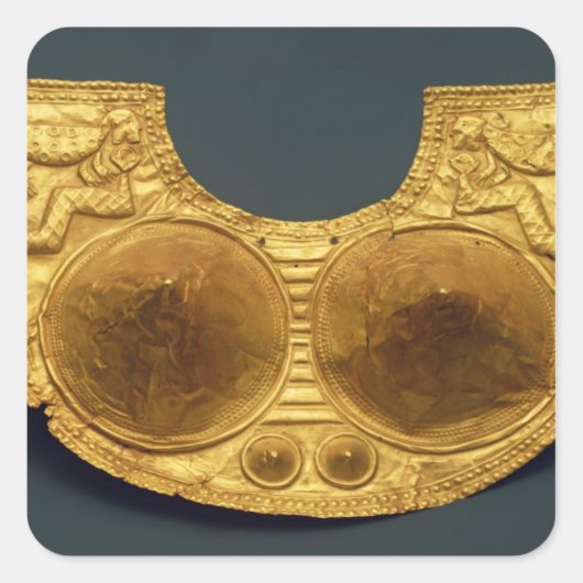 シヌ胸当て スクエアシール (正面)