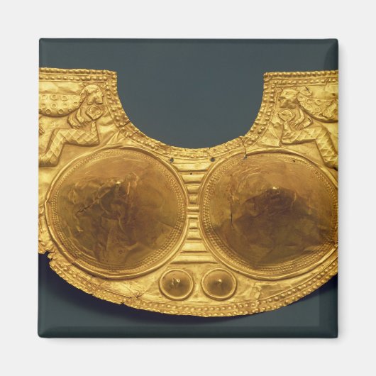 シヌ胸当て マグネット (正面)