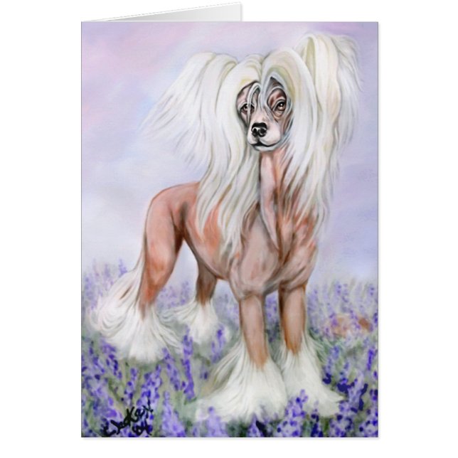 シネクリステッドブルーボンネット (正面)