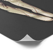 シネストロ交互 ポスター (角)