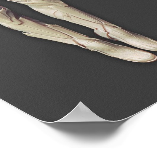 シネストロ交互 ポスター (角)