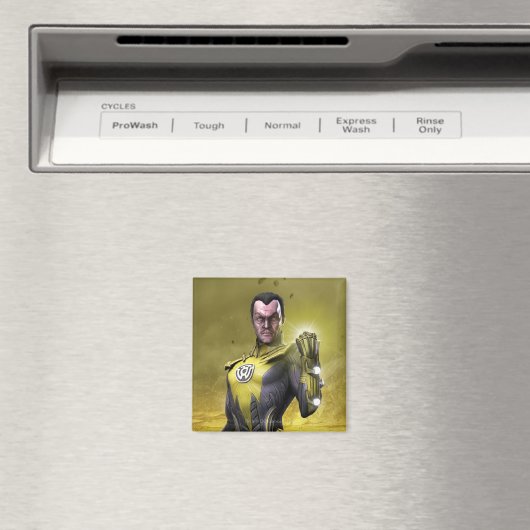 シネストロ マグネット (インサイチュ (食洗機))