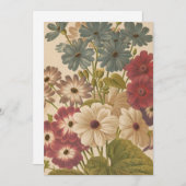 シネラリア | ジョージ・ニコルソン (正面/裏面)