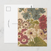 シネラリア | ジョージ・ニコルソン ポストカード (正面/裏面)