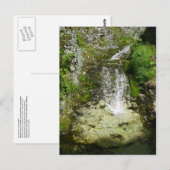 シネラルズヒルの後ろの風光明媚な滝 ポストカード (正面/裏面)