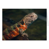 シノザウルス (正面横)