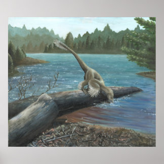 シノルニトサウルスプリント ポスター