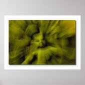 シバズムドラ ポスター (正面)