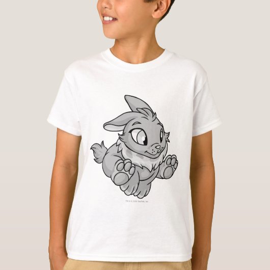 シバニー・シルバー Tシャツ (正面)