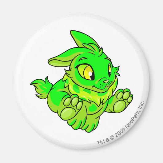 シバニ白熱［赤熱］光を放つー マグネット (正面)