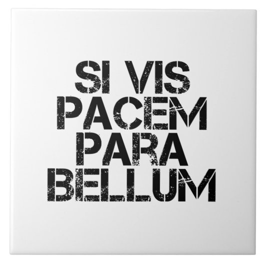 シビスパセムパラベルム タイル (正面)