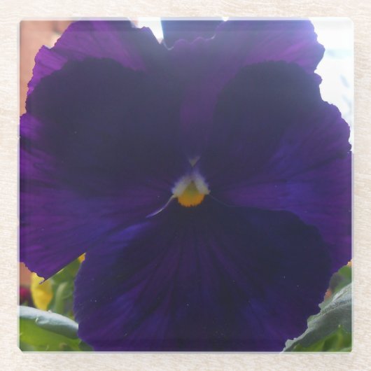 シビラ ガラスコースター (正面)