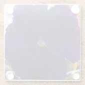 シビラ ガラスコースター (裏面)