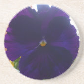 シビラ コースター (正面)