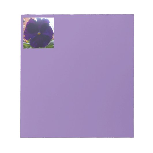 シビラ ノートパッド (正面)