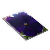 シビラ ノートブック (右側)