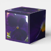 シビラ フェイバーボックス (裏面サイド)