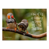 シブおもしろいラいけなフィンチの生意気なペア (正面横)