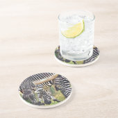 シブラス コースター (側面)