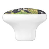 シブラス セラミックノブ (側面)