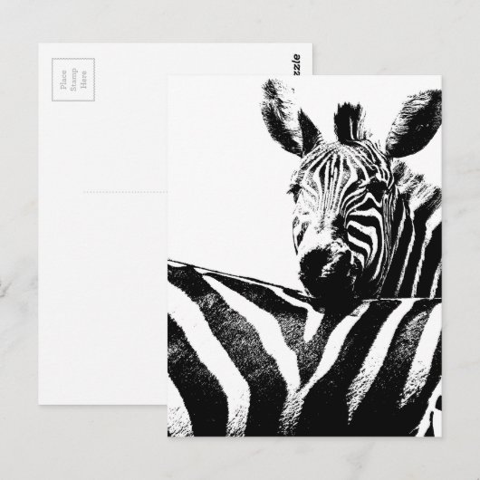 シブラス ポストカード (正面/裏面)