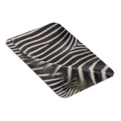 シブラス マグネット (右側)