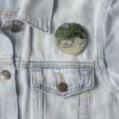 シブラス 缶バッジ (インサイチュ)