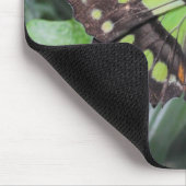 シプロエタ・ステレネス マウスパッド (コーナー)