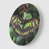 シプロエタ・ステレネス ラージ壁時計 (傾斜)