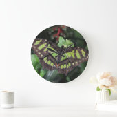 シプロエタ・ステレネス ラージ壁時計 (ホーム)