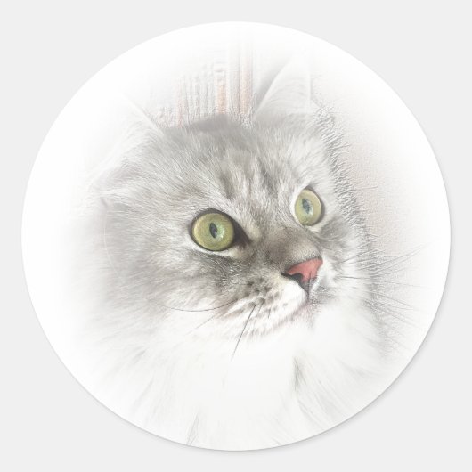 シベリアのアイステッカー ラウンドシール (正面)