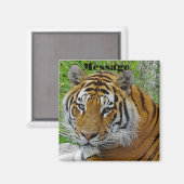 シベリアのタイガーのクローズアップ顔 マグネット (正面/裏面)