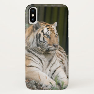 シベリアのタイガーケース – メイトiPhoneケース iPhone X ケース