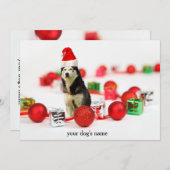 シベリアのハスキーのクリスマス飾り招待状 招待状 (正面/裏面)