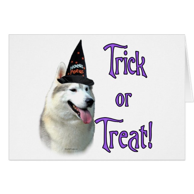 シベリアのハスキーのトリック (正面横)