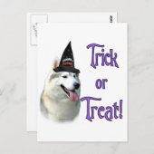 シベリアのハスキーのトリック ポストカード (正面/裏面)