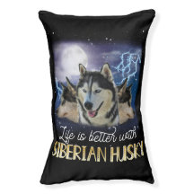 シベリアのハスキーの方が生活が好い