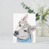 シベリアのハスキーの混合物が頭を傾ける ポストカード (スタンド正面)