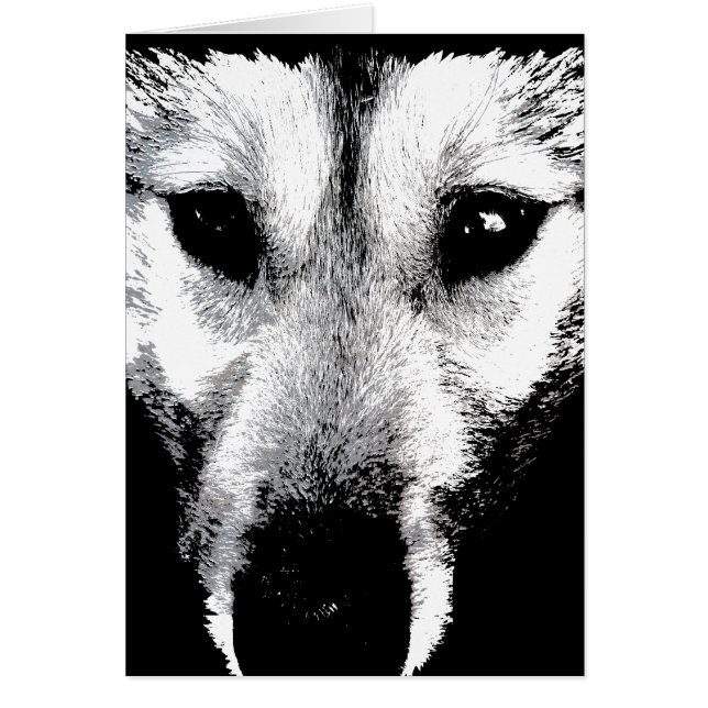 シベリアのハスキーカードマラムートウルフドッグカード (正面)