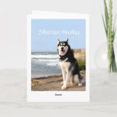 シベリアのハスキービーチグリーティングカード サンキューカード (裏面)